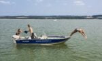 Marine 500 Family - Afbeelding 2
